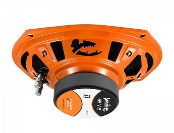 Эстрадная акустика DL Audio Barracuda 69 V.2
