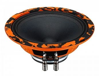 Эстрадная акустика DL Audio Gryphon Pro 165 Neo
